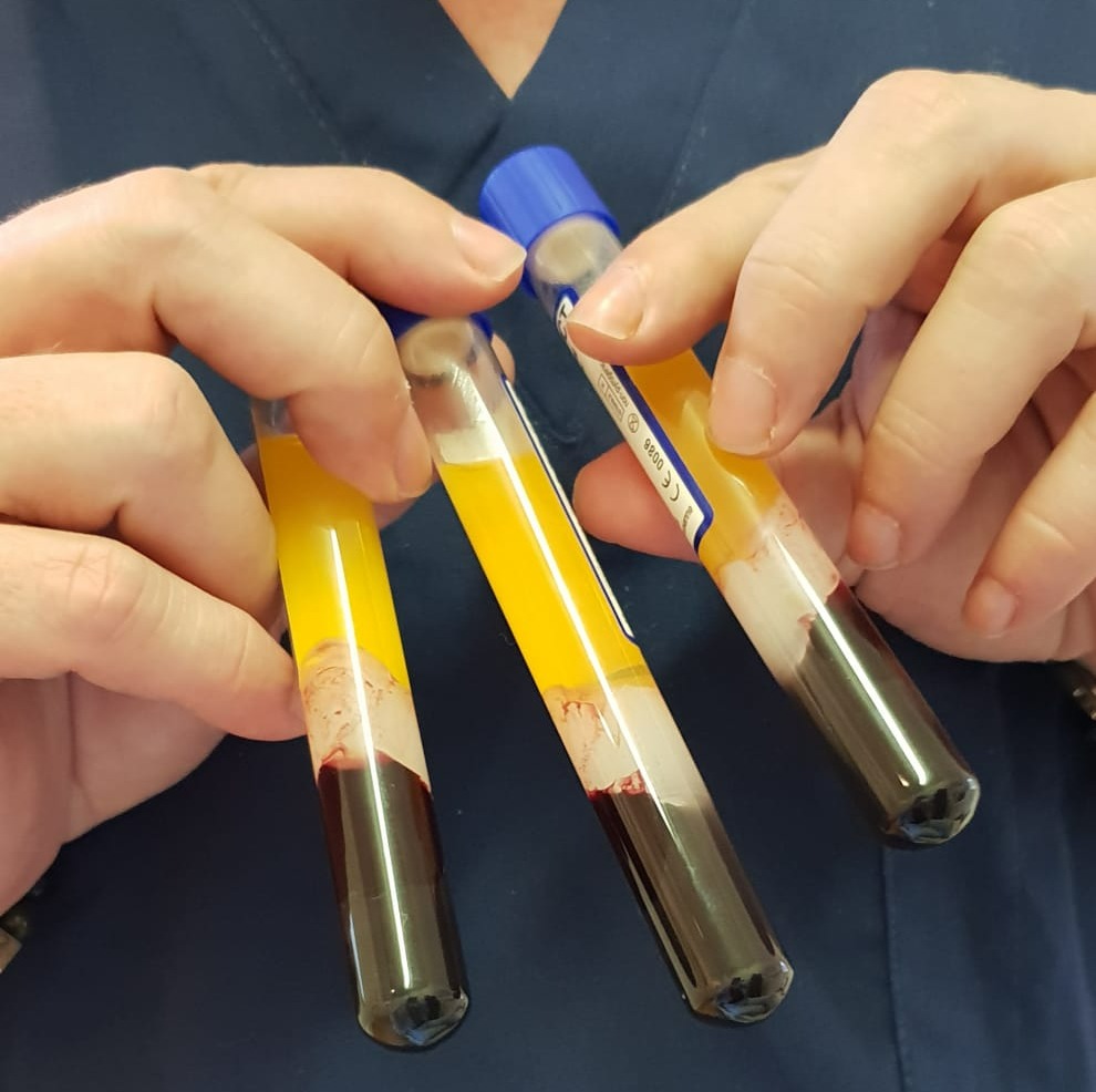 Liquid Gold injectables